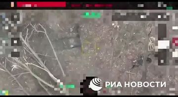 ������ �������: ���������� ��-34 ������������ ���� ������� ���� � ��������� ������ ���