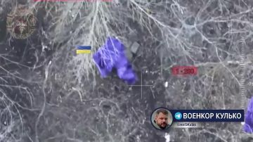 Дмитрий Кулько: Шестерых одним ударом: под Сумами продолжается охота