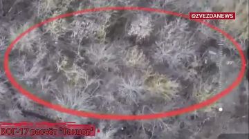 Боевики пытались скрыться от наших беспилотников, но найден каждый всушник