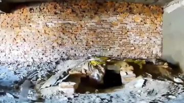 Удары по пехоте, позициям дронщиков и укреплениям ВСУ в Сумской области