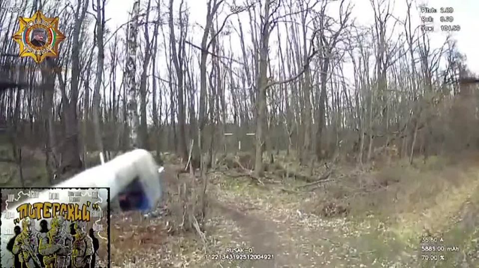 ���� ���������: ����������� ������ � �� � ��� ����������