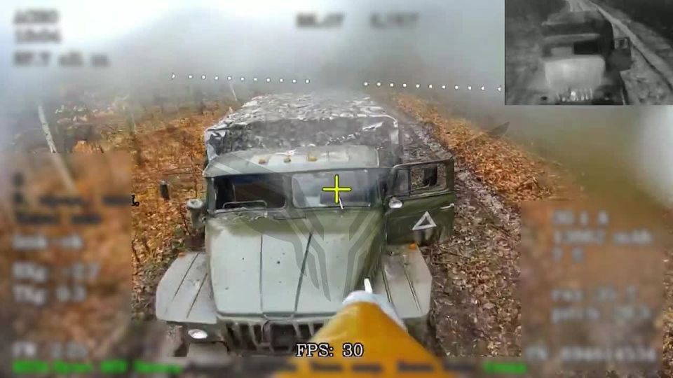 ������ ������ ���������� ���� ������ "�������" � �������� ���� ������� �������