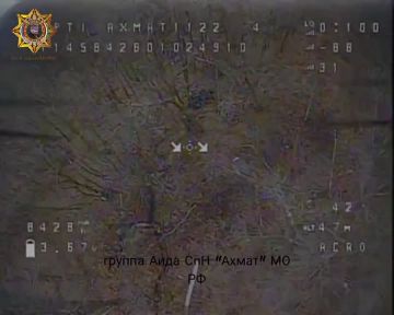 ���� ���������: ����������� ��������� � ������� ����������