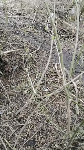 ���������� � �������� ������� �������