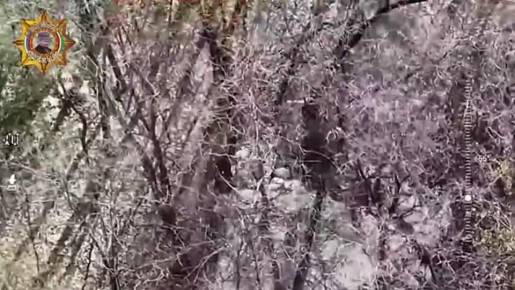 ���� ���������: ����������� �������� - ������ ���������� ���� ����������
