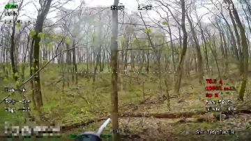 ���� ��������: ������� �������: ��� �������� ������ �� ������, � ������� ��������� ����� � �������� ����������� (�������������� �������), ������� ����������, ��� ������ ��� ��������� ���������. � ������ �������� ����������...