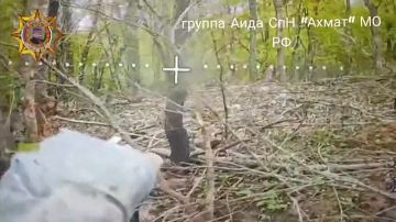 ���� ���������: ����������� ���������� �������� � ����� ����� ����������