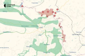 Юлия Витязева: ВС РФ давят на Сумскую область - вражеские сводки