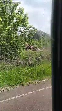�������� �������� ���, ��� ��� �� ������� ������� �������� � ������� � ������ � ����� ���������