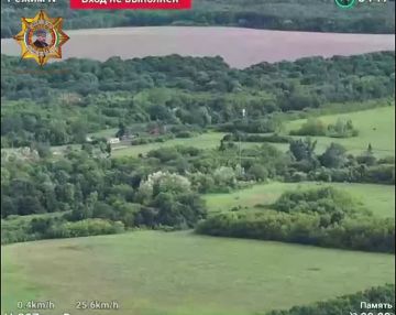 ���� ���������: ����������� ����� ���������� ������� ������� ����������