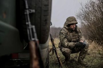 Захваченные у Сум тайны изменят ход боев: главная новость СВО за сутки