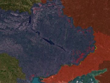 За полгода Украина построила 6 новых линий с укреплениями в Запорожской области, отмечают западные исследователи