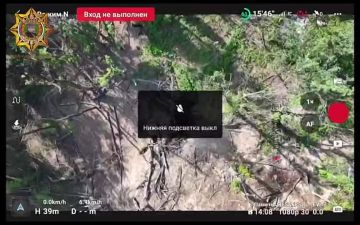 ���� ���������: ���������� ������� ������� ����������
