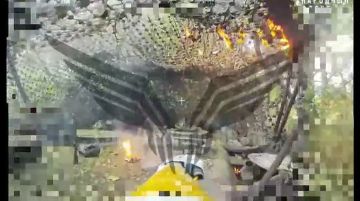 Уничтожение замаскированного танка Леопард 1А5 ударами fpv-дронов в н.п. Коровное Сумской области. Боевая работа операторов из "Рубикона" и 145 полка МП ГрВ "Север"