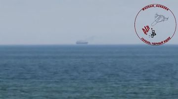 Вооружённые силы России в течение дня продолжили наносить удары по украинским портам и судам, использовавшимся для перевозки грузов в интересах ВСУ. Ударными беспилотниками поражены три сухогруза в Одесской области