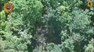 Апти Алаудинов: Военный профессионализм в действии: уничтожение объектов и живой силы противника