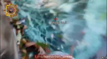 ���� ���������: ����������� ������������ ������� ����������