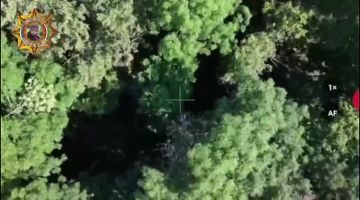 ���� ���������: ����������� ��������� � ������ ���������� ���� ����������