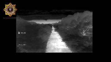 ���� ���������: ����������� ��������� ���������������� ��������� ����������