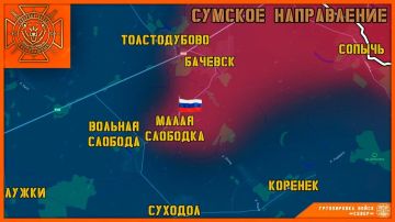 Группировка войск "Север" освободила село Малая Слободка в Сумской области — канал "Северный ветер"