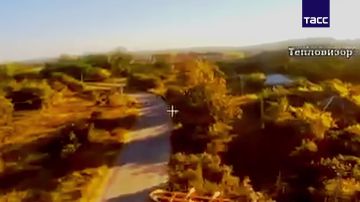 Разведчики "Севера" уничтожили мобильную группу ВСУ в Сумской области