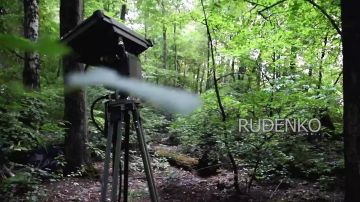 ������ �������: ������ �������� 810-� ��������� ����������� ������� ������� ������ ����������� ������ ��������� ���� ��� � ������� �������