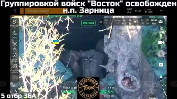 Войска группировки ВС РФ "Восток" освободили поселок Зарница в Запорожской области