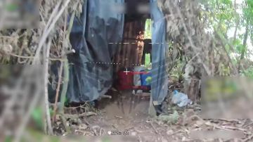 ��������� �������: ����� ��� ������� �� ����������� �� ���������� ���������� � ������ �����