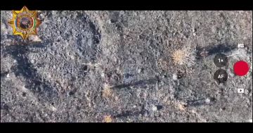 ���� ���������: ����������� ���, ������, �� � ������� ����������