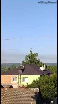 Кадры недавнего прилёта Гераней в Тростянце Сумской области
