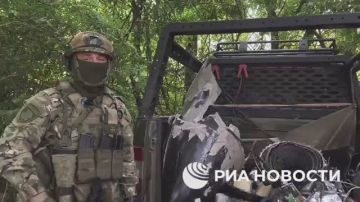 �� ����� ����� ����������: �����������, ������� �� ������� ������ ���������, ����������, ��� ������� �������� �������