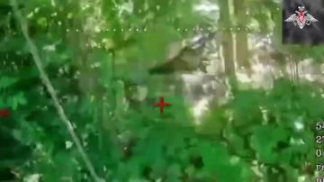 ���������� ������: ������������� ����������� ����� ������ ���������� �������� ��� ���������� ������� ��������� ������� �������