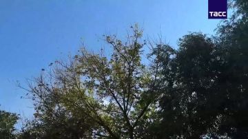 ����� ������������ �������� ��� ����������� � ������� �������