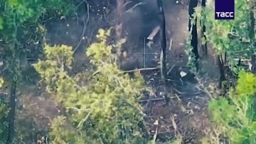 Кадры установления контроля над населенным пунктом Садки в Сумской области