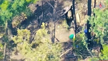 ������� ������: ������������ ������� ��������, ��� ��� ��� �������� ������� ��� ��� ���������� ������ � ������� ������� - ����� � ������� ������