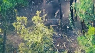 ��������� ���: ����� ������������ ������. ����� ������������� 22-�� ��������������� ����� 44-�� ���������� ������� ����������� ����� ������ ���������� �������� ��� ���������� ������� ����� ������� �������