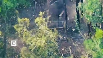 ����� ������������ ����������� ������ ����� � ������� ������� �������� ���������� ��