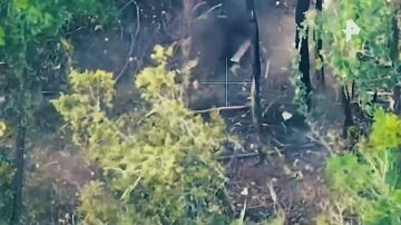 ����� ������������ �������� ������������ ����� "�����" ��� ��������� ������� ����� ������� ������� ��������� ���������� ��