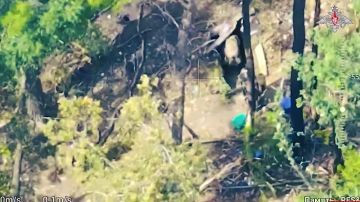 ������������� �� �� ���������� ������������ � ������� �������