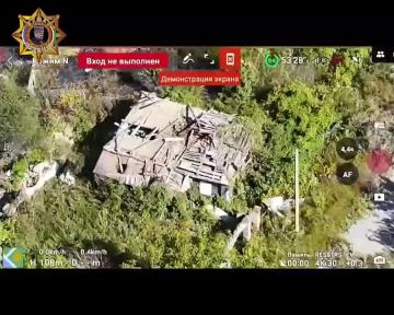 ���� ���������: ����������� ��� � ������� ����������