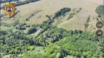 ���� ���������: ����������� �������, ������ ���������� ����, �������������� � ����� ���� ����������