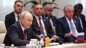 Обстановка на СВО, цели на территории Великобритании и почему не убили Зеленского: о чём говорил Путин