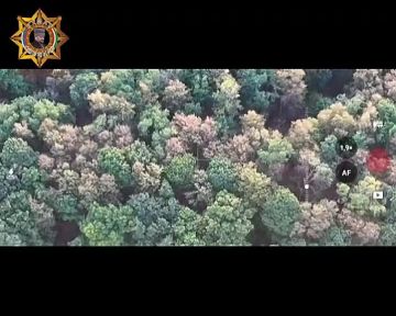 ���� ���������: ����������� �������, ������� ��������� ���������� � ���� ����������