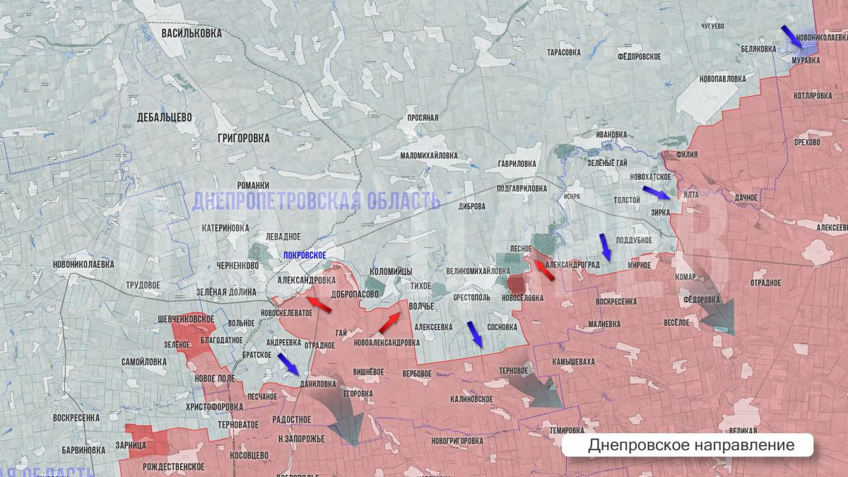 Олег Царёв: Фронтовая сводка 7 сентября Олег Царёв: Фронтовая сводка 7 сентября