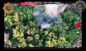 ���� ���������: ����������� �������� ����������