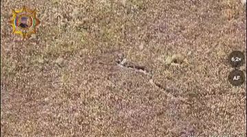 ���� ���������: ����������� ����� ���� (������) ����������