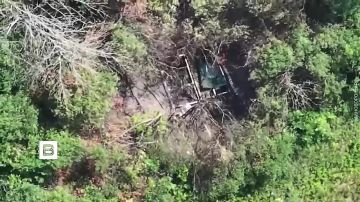 ���������� FPV-����� ���������� ������� ��� �� ��������������� ������� ������� � ����������� �������, �������� � ���������� ��