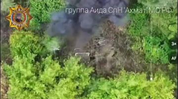 ���� ���������: ����������� ������ ��, ������� ������� � ������� ����������
