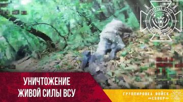 Охота на пехоту ВСУ: нацисты на карачках пытаются скрыться от дронов Севеярн