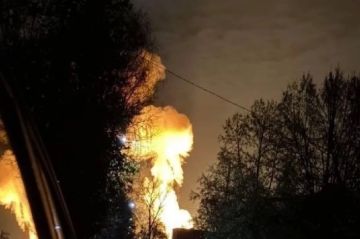 Из Лондона попадают сразу в гробы: отряд с особой миссией объявился у Сум
